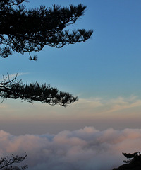 ������ɽ�������ճ�