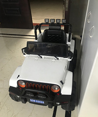 ��ͯ�綯ԽҰ��