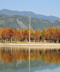 ������磬����������������