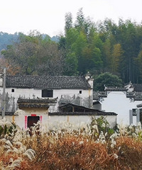 һ�����������