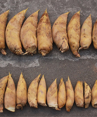 ��������˶����㹽���ӣ����ǳԳ�һ�����