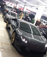 ���������ġ������ɫ���Դ���