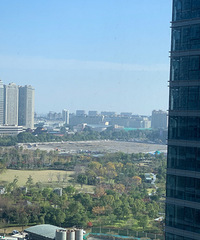 ��̩������״���ݶ���������