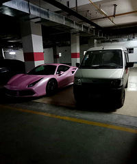 ���������ġ���Ů��Ұ��