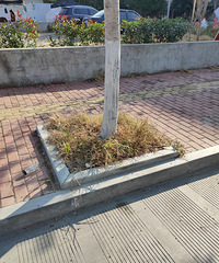 �������ġ����쵽�ˣ���ľҲ���·���