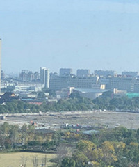 ��̩������״����������