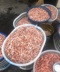 ����Ϻ���ϰ����˺ö���ĺ�����