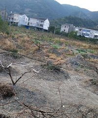 ���۸��᡿�ж���ƶ������������ˣ�