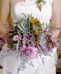 ��������ר����������������Ų������