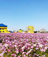 ��ɣ������ʢ����ĩ���������ͻ��ɣ�