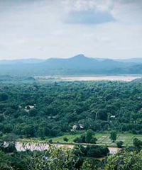 �������ȥ���У���ϧʵ��������