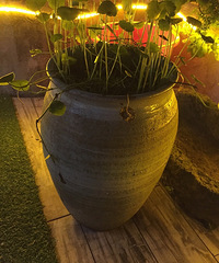 ���ף����������ģ�