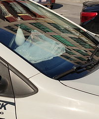 ���������ġ������ĵĳ������������һ��Ư���İ�ɴ������