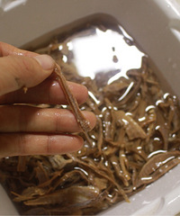 ���Ի���̨��NO.39������ζ�Ķ�����˿�����