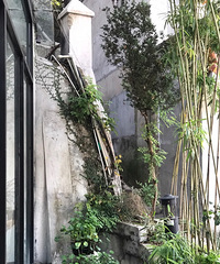 ����ϸ��������ľ���˽������������