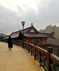 [������]����ɽ�̵�����·�Ź�԰��������԰