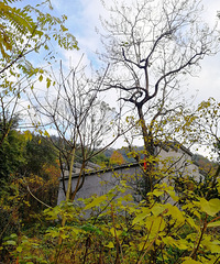 [������]����ɽ�̵�����·�Ź�԰��������԰