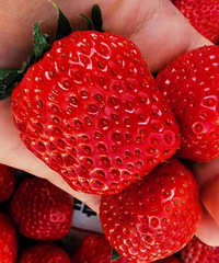 ���۸��᡿��ĸ��100�����ô�����ô�֣�