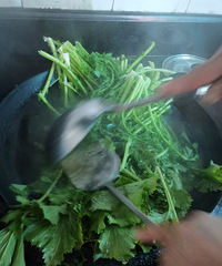 �������ġ�����ɹ�Ĳ˸ɣ�÷�ɲˣ��ϻƹϻƸ𣬳��˸�������