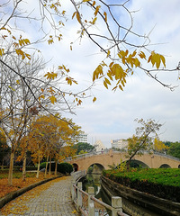 [������]�Ϲٺӱߵ���̬����������һ�������ķ羰