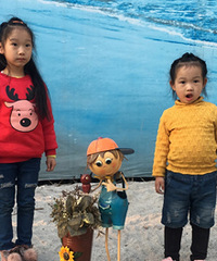 ����VS����ӣ������������Ҳ��̫����