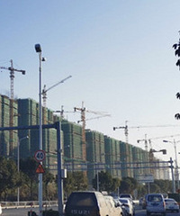 ���ϰ˵����̨�Ĳɹ�