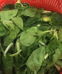 ����ϰ���ʰ�����˳��棬��������һ���������ͷ����