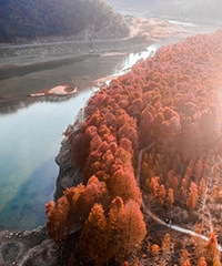 �����ĵĺ����ֹ���