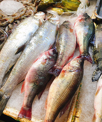 ������٣��������򵥣�����Ӧ�ñȽϾ����һ����