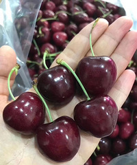 ���۸��᡿�Ϲ����ִ��͸�ĸסһ����ôȰ������������ô�죿