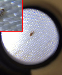 �·���ð���ö࣬���Ҽ���������ʲô��