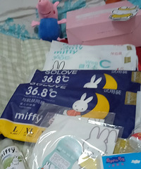 19¥д�����ռǾ�����ô�ཱƷ����Щֻ��һ����