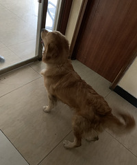 ��ʺ�٣���Ҵ��ë������