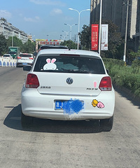 ���������ġ����Ŵ������Ӻ��ܲ���һ����Ů˾��