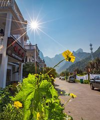 ����լ���ؿ���ͨ��ǩ��ͬ�ķ�ʽ���ʵ��ת����