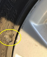 ��̥����һ��Ƥ�����ܸ��٣���Ҫ��̥��