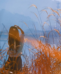 ��ʫ������