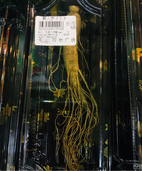 �������ġ�9.9��һ�����˲Σ�����ô��