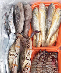 �������ġ�����������񣬺ÿ���