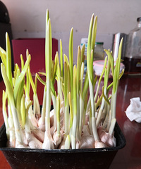 �������ġ���������������������辰