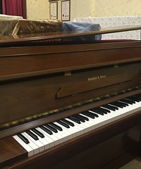 ʥ���ڣ��������̨YAMAHA����