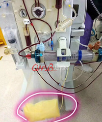 28��Ů�����㽭������һ����������������Լ��Խ�������