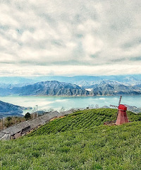 ̨�ݻ��ҵ����֮��