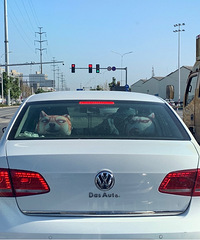 ���������ġ�������������