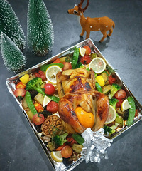 ������������������ʥ������������Ǻÿ�Ҳ�ó�