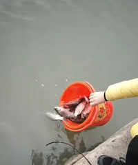 �������ġ�ż���������ѣ���������ΰɣ�