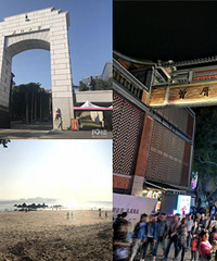 ������������ ��ĵ������Ǿ���