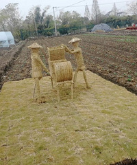 �������ġ�ѧУ�����԰����