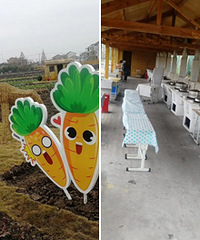 �º������Сѧ����԰�羰��