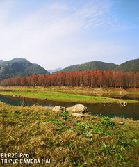 ţͷɽˮΣڲݵɹɹ̫